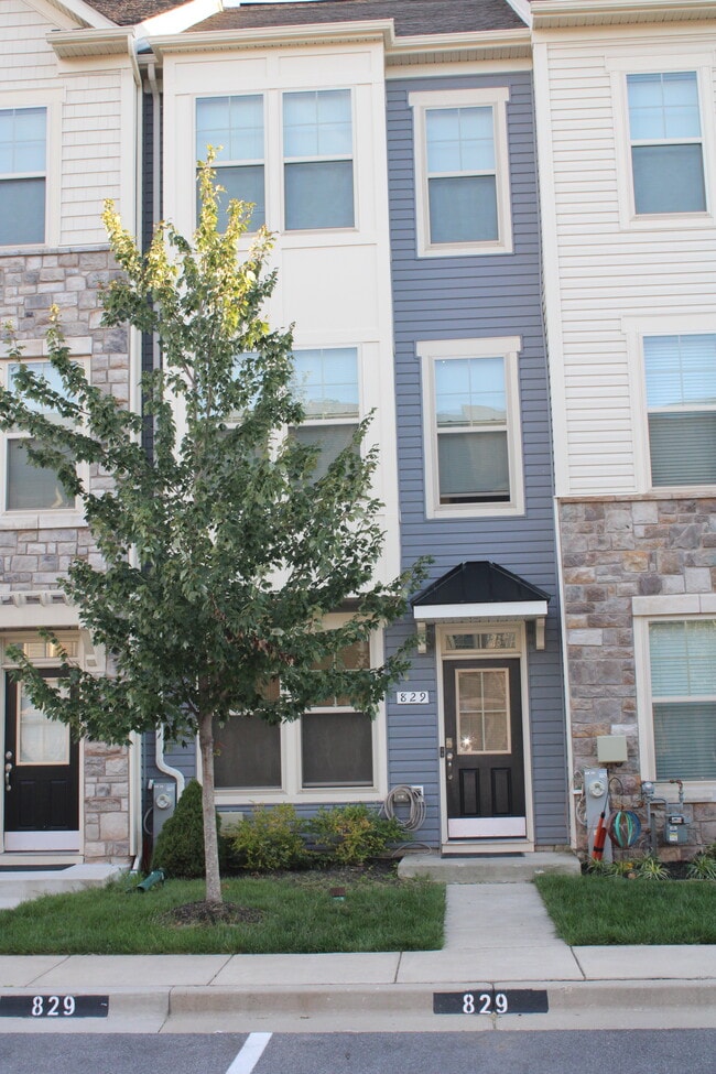 Building Photo - 829 Jarrett Ln