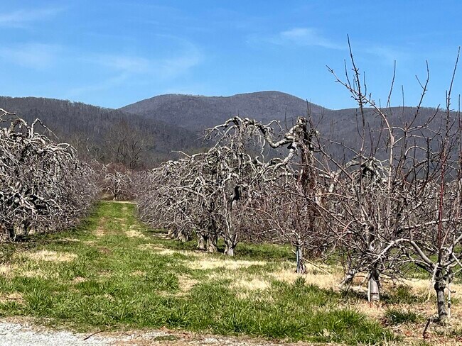 Building Photo - 206 Douglas Drive-Apple Country Home