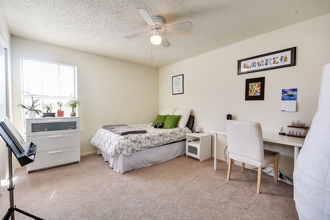 Photo - EL105 Apartment