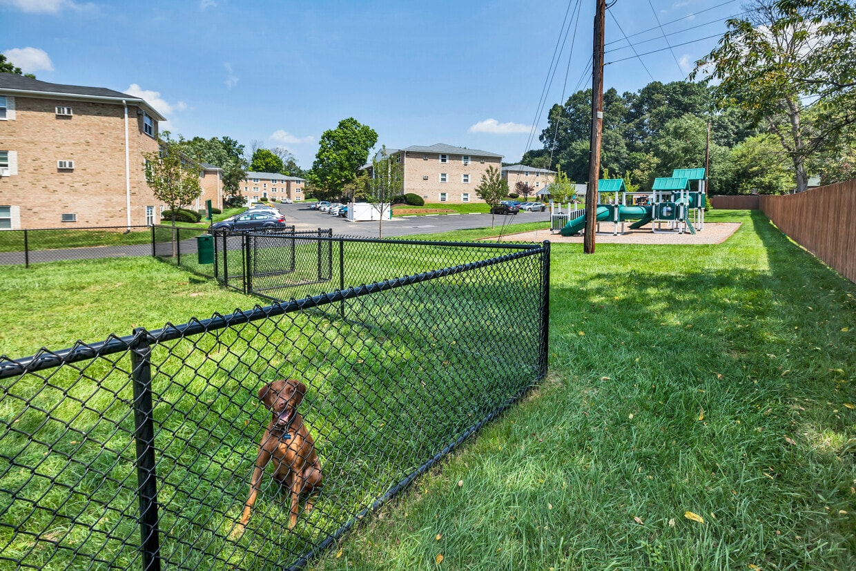 Lehigh Square Apartment Homes photo 4