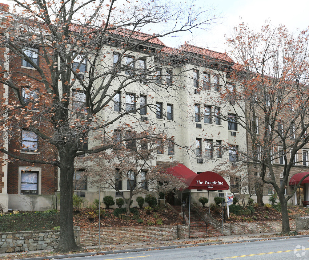 Building Photo - The Woodbine