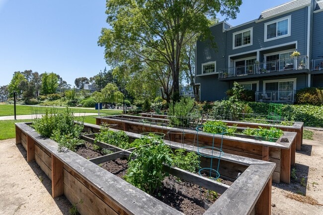 Building Photo - Serenity at Larkspur