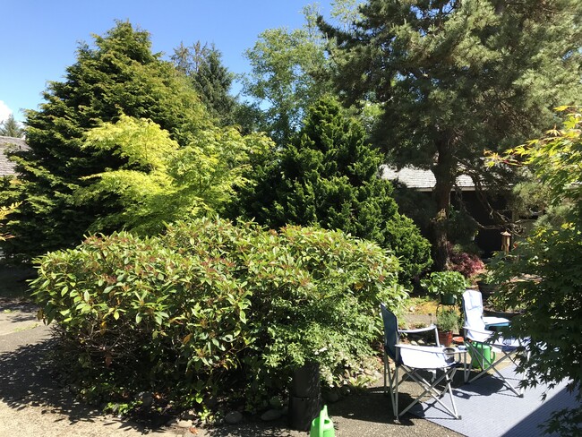 Courtyard - 172 Fairway Dr