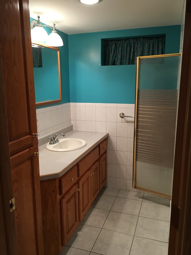 Basement bathroom with large shower stall - 210 12th Ave. North