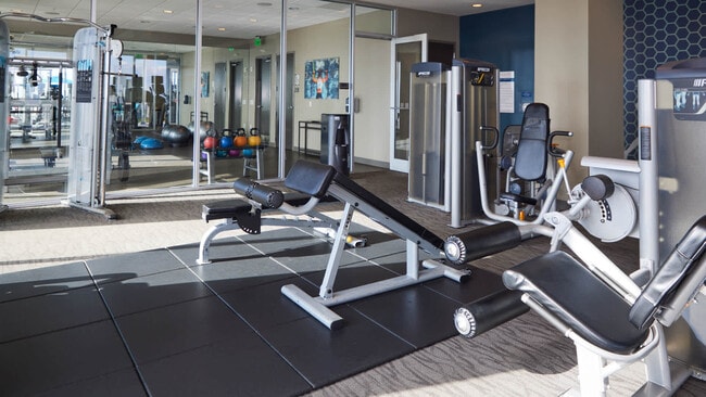 Fitness Center - Skyhouse South