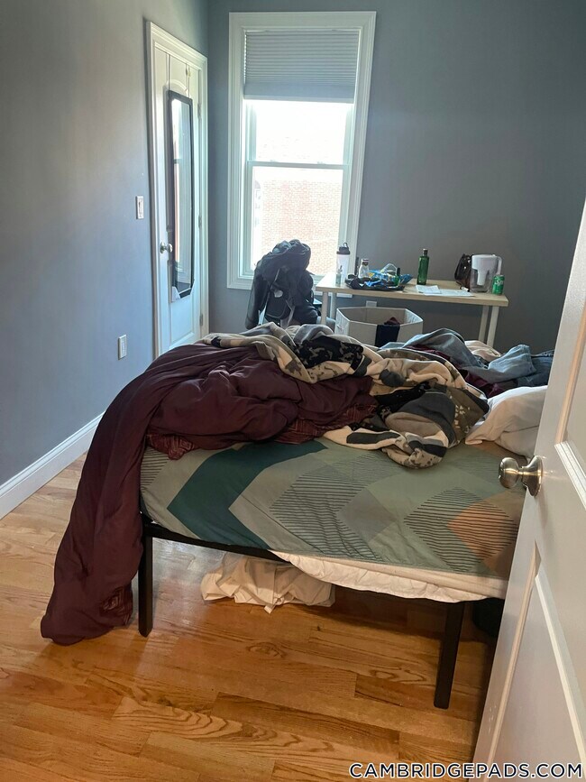 Foto del edificio - 339 Cambridge St