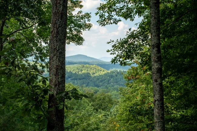 Building Photo - 423 Laurel Creek Road