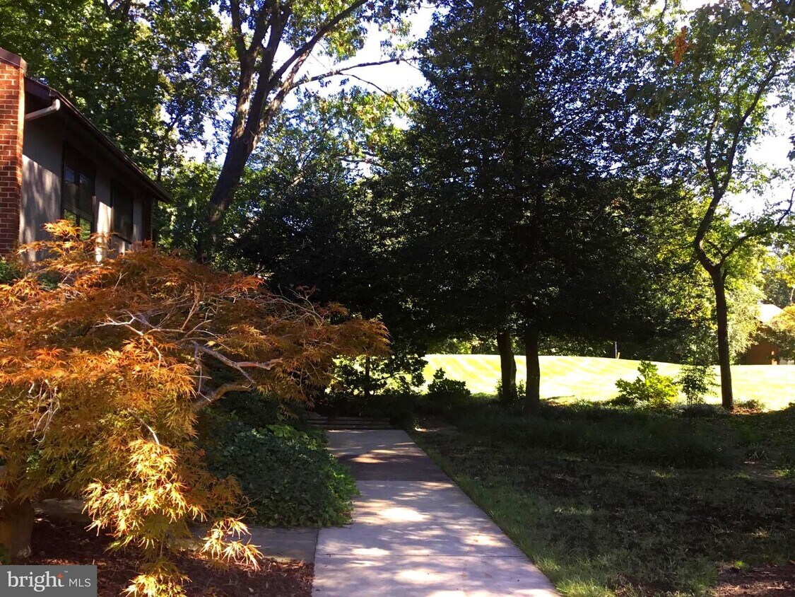 Primary Photo - 11704 Indian Ridge Rd