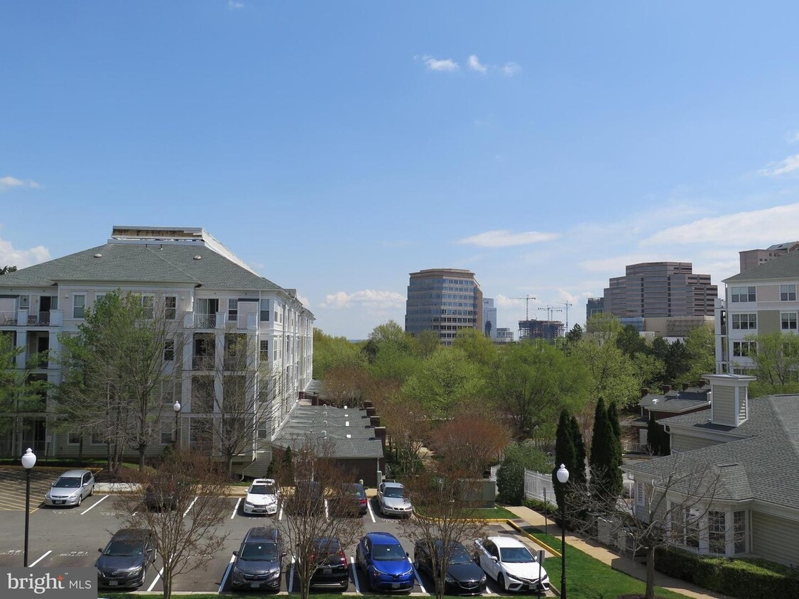 1625 International Dr Unit 204, McLean, VA 22102 Condo for Rent in