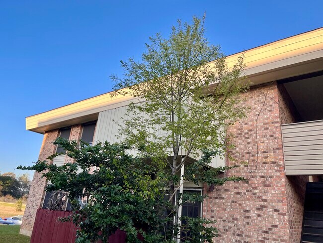 Balcón. - 305 Green Briar St