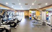 Located at 1105 RiverView Ave in Englewood, NJ, this fitness center is a comprehensively equipped, single-floor facility designed to support a full range of workout routines. The space features warm tan walls, a dark ceiling with recessed lighting, and rubber flooring throughout, creating a functional yet polished environment.

The cardio section is prominently appointed with a row of Life Fitness treadmills equipped with individual monitor screens, positioned along large windows fitted with wood-slat blinds that allow natural light to filter in while offering views of the surrounding exterior. Alongside the treadmills, a set of elliptical cross-trainers provides additional cardiovascular options.

The strength training area includes multiple cable and weight machines, a dedicated free weights section with a tiered dumbbell rack, and a selection of exercise balls in varying sizes. Adjustable benches complement the cable machines for versatile training options.

Full-length mirrors line the walls, visually expanding the space and allowing users to monitor their form. The facility is accessed through a set of glass double doors and maintains a clean, organized layout. Recessed ceiling lights illuminate the entire area evenly, contributing to a bright, motivating atmosphere suited for daily training.