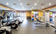 Located at 1105 RiverView Ave in Englewood, NJ, this fitness center is a comprehensively equipped, single-floor facility designed to support a full range of workout routines. The space features warm tan walls, a dark ceiling with recessed lighting, and rubber flooring throughout, creating a functional yet polished environment.

The cardio section is prominently appointed with a row of Life Fitness treadmills equipped with individual monitor screens, positioned along large windows fitted with wood-slat blinds that allow natural light to filter in while offering views of the surrounding exterior. Alongside the treadmills, a set of elliptical cross-trainers provides additional cardiovascular options.

The strength training area includes multiple cable and weight machines, a dedicated free weights section with a tiered dumbbell rack, and a selection of exercise balls in varying sizes. Adjustable benches complement the cable machines for versatile training options.

Full-length mirrors line the walls, visually expanding the space and allowing users to monitor their form. The facility is accessed through a set of glass double doors and maintains a clean, organized layout. Recessed ceiling lights illuminate the entire area evenly, contributing to a bright, motivating atmosphere suited for daily training.