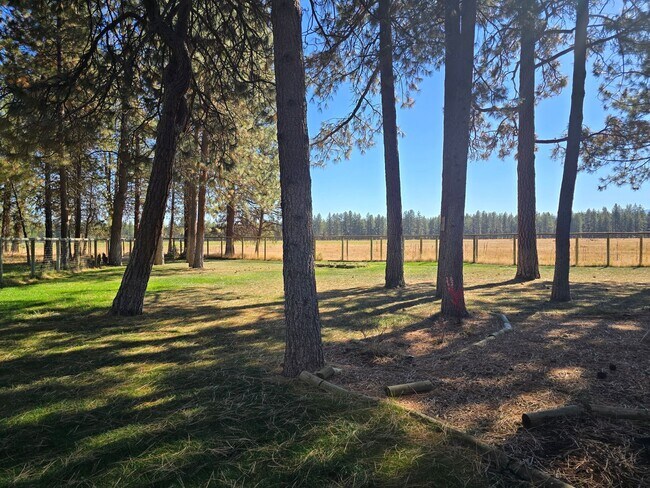 Foto del edificio - Live in Beautiful Tollgate and Minutes fro...