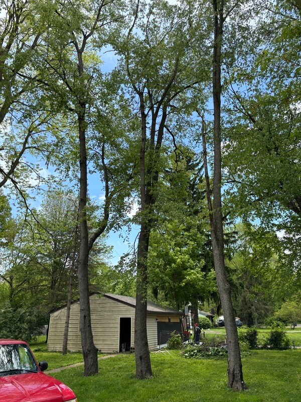 Photo - 5145 Patterson St House