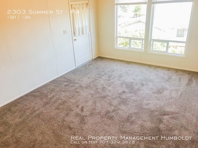 Building Photo - Cat-friendly, Victorian upstairs apartment!