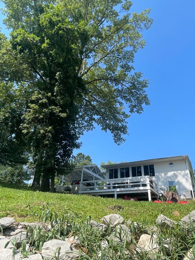 Yard - 13211 S Egypt Shores Dr