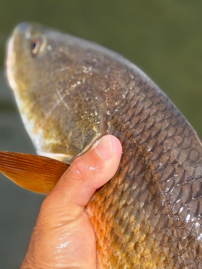 Foto del edificio - 350 79th Ave N