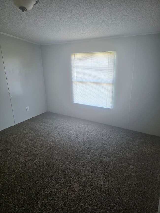 Building Photo - 1311 Knotty Elm Loop