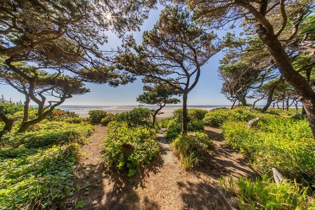 Building Photo - Adorable Cottage in Seal Rock!