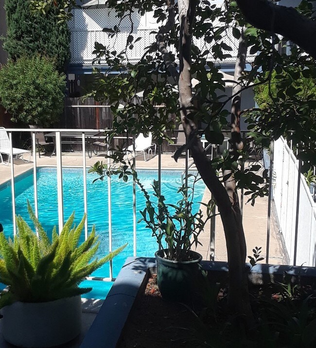 Community Pool - 609 Prospect Ave