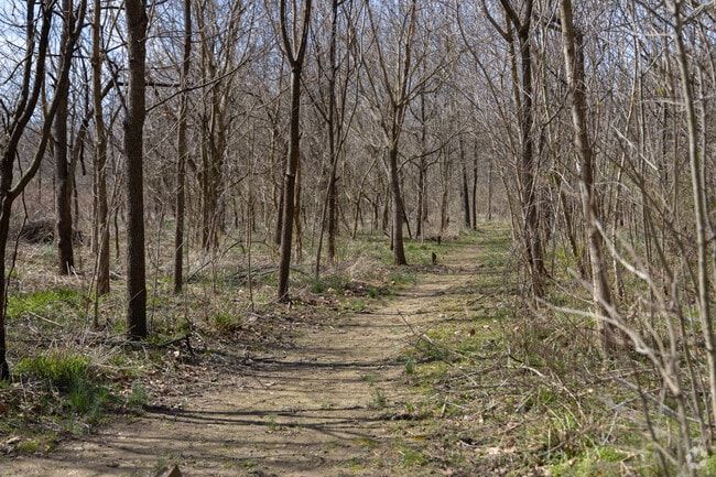 Trails wind through Wolsing Woods for residents to enjoy.