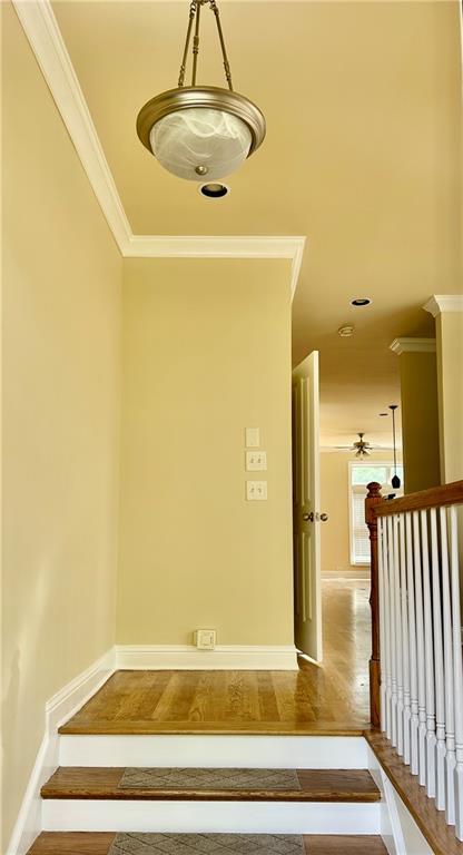 Building Photo - 10816 Ellicot Way