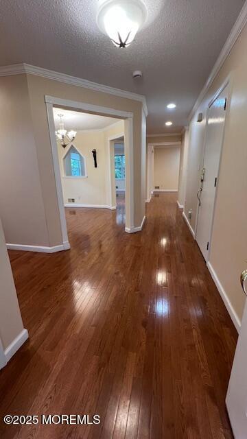 Foto del edificio - 33 Kinglet Ave
