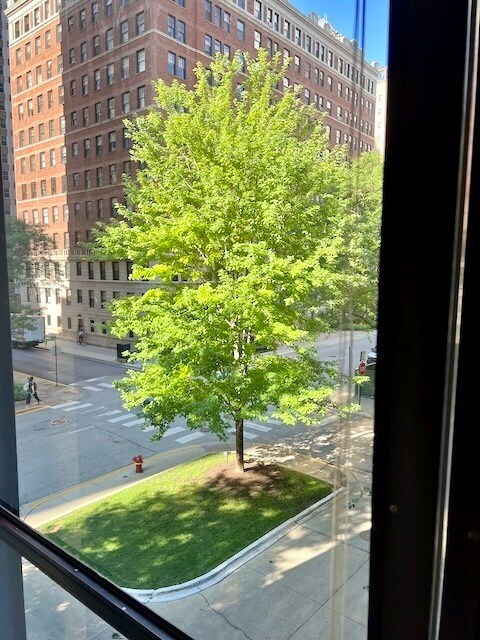 Foto del edificio - 900 N Lake Shore Dr