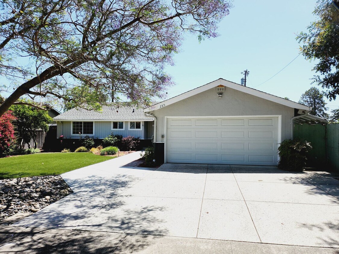 Primary Photo - Light and Bright Single Family Home