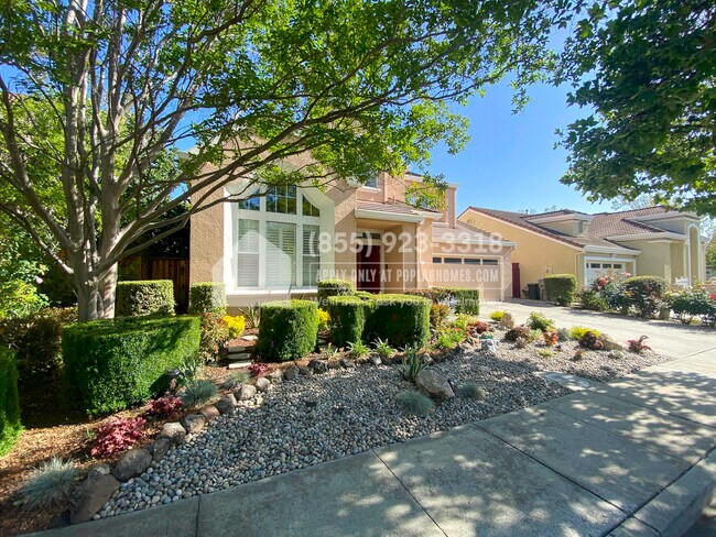 Building Photo - 3040 Rosato Ct