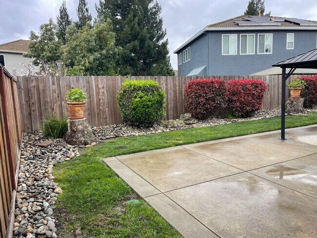 Foto del edificio - Immaculate 4br Pet Friendly Home in Morada