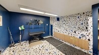Located at 15 Farm Springs Road in Farmington, CT, this dedicated pet grooming room is a compact yet well-appointed space designed entirely for professional pet care. The room makes an immediate visual impact with its bold cobalt blue walls paired with vibrant terrazzo flooring — a white base embedded with multicolored stone and blue aggregate chips that carries throughout the entire space, creating a cohesive and lively aesthetic.

The grooming area is anchored by a height-adjustable professional grooming table equipped with an overhead arm rack holding grooming loops and accessories, alongside a wall-mounted blower/dryer unit. A decorative arrangement of circular mirrors adorns the blue accent wall behind the table, adding a stylish focal point. Anti-fatigue rubber matting is placed strategically on the floor for safety and comfort during grooming sessions.

A built-in wash station features terrazzo-clad surrounds with warm wood cabinetry below, providing functional storage. Adjacent to the wash area, built-in open shelving with a wood desk surface is framed by deep blue cabinetry, offering additional storage and workspace. The entry area welcomes visitors with a glass door, a tall potted palm, charming dog-themed artwork on the walls, and a paper towel dispenser and waste bin for easy sanitation. Flush-mounted linear lighting illuminates the entire space efficiently.