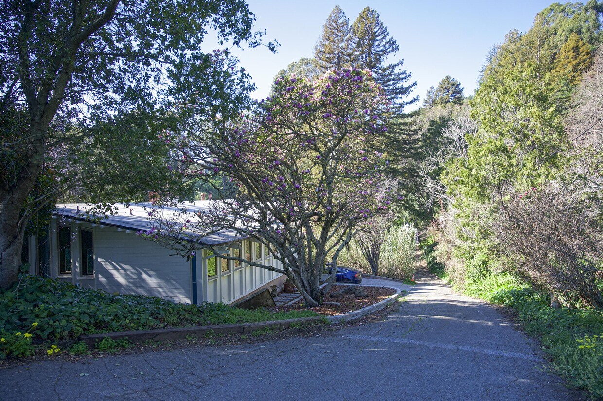 Primary Photo - 4623 Lincoln Ave