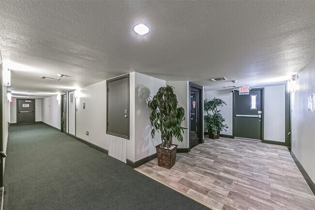 Foto del edificio - 1025 Swanson St