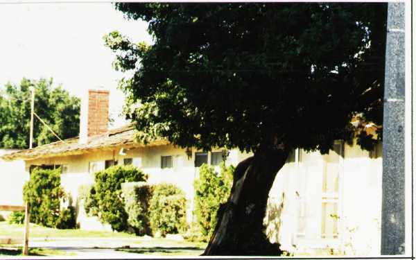 Primary Photo - 513 S Highland Ave