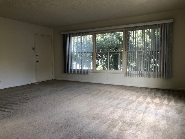 #4-living - 460 Everett Ave