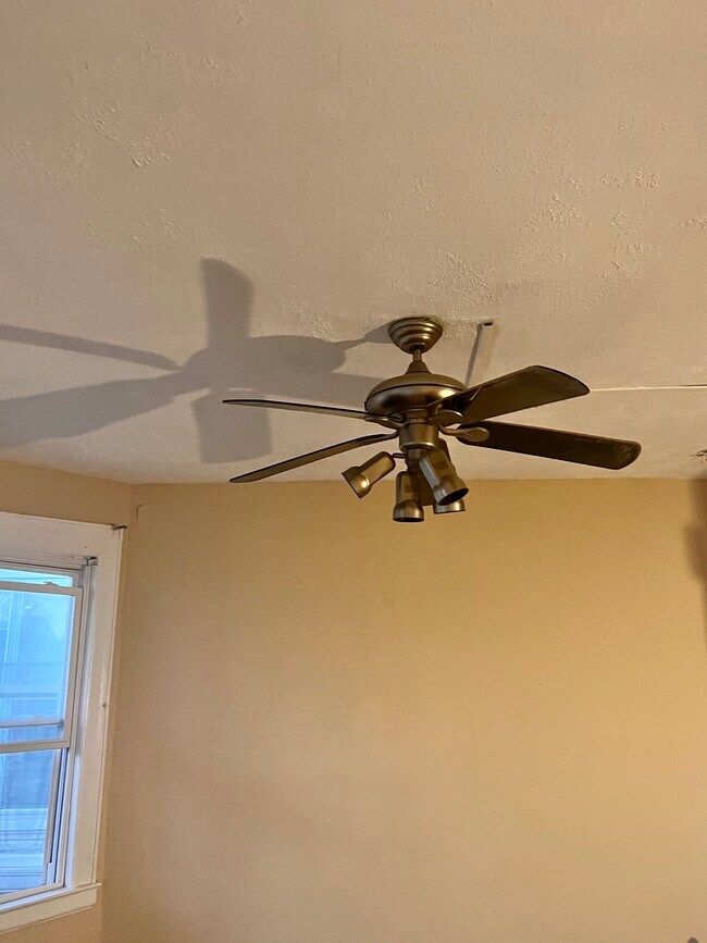 Ceiling fan - 96 Richard St