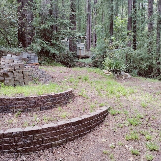 Building Photo - Charming Home Nestled in the Redwoods