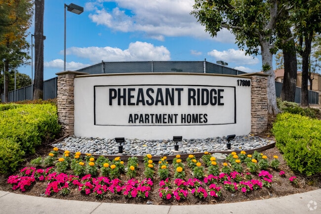 Foto del edificio - Pheasant Ridge