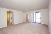 Located at 6545 Greenway Drive in Roanoke, Virginia, this single-floor residence offers a well-organized layout designed for comfortable everyday living. The spacious living area is finished with neutral-toned carpet and features a large sliding glass door dressed with vertical blinds, allowing natural light to fill the room and providing access to the outdoors. The galley-style kitchen is efficiently designed with ample white cabinetry, granite-look countertops, tile flooring, a stainless steel sink, and black dishwasher, offering practical functionality for meal preparation. A full-size refrigerator and dedicated pantry closet add to the kitchen's storage capacity. The bedrooms are generously sized, each featuring warm carpeting, ceiling fans with light fixtures, and built-in closets with overhead storage. The bathrooms are cleanly appointed, with one featuring a vanity topped with a rich granite-look countertop, a wall mirror, and wood-look vinyl flooring. A second bathroom provides a compartmentalized layout for added privacy. Throughout the home, neutral wall tones and clean white trim create a bright, cohesive aesthetic that offers a versatile backdrop for any interior style.