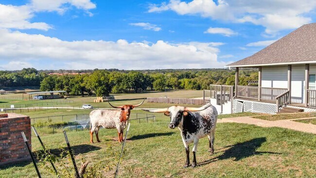 Foto del edificio - Alvarado Ranch W/ Private Pool & Fenced-In...
