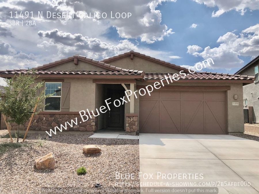 Primary Photo - 11491 N Desert Calico Loop