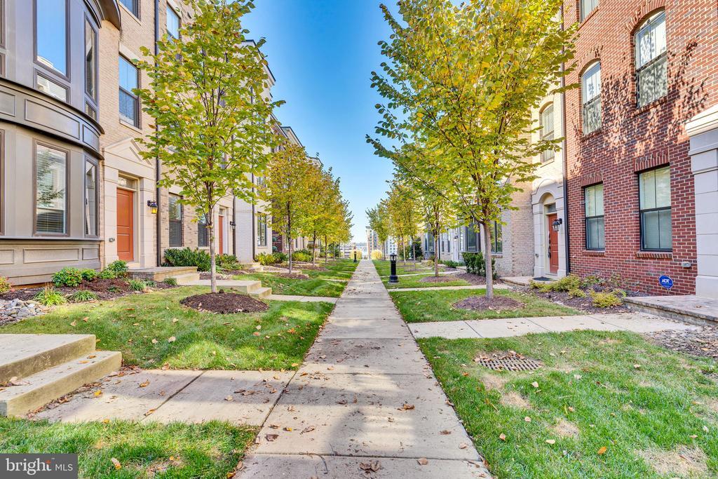 Foto principal - 510 Silver Clipper Ln