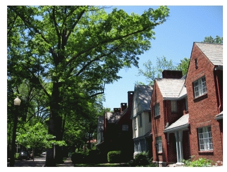 Building Photo - Mariemont Townhomes