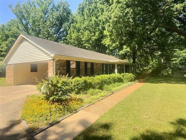 Building Photo - 335 Alexander Cove