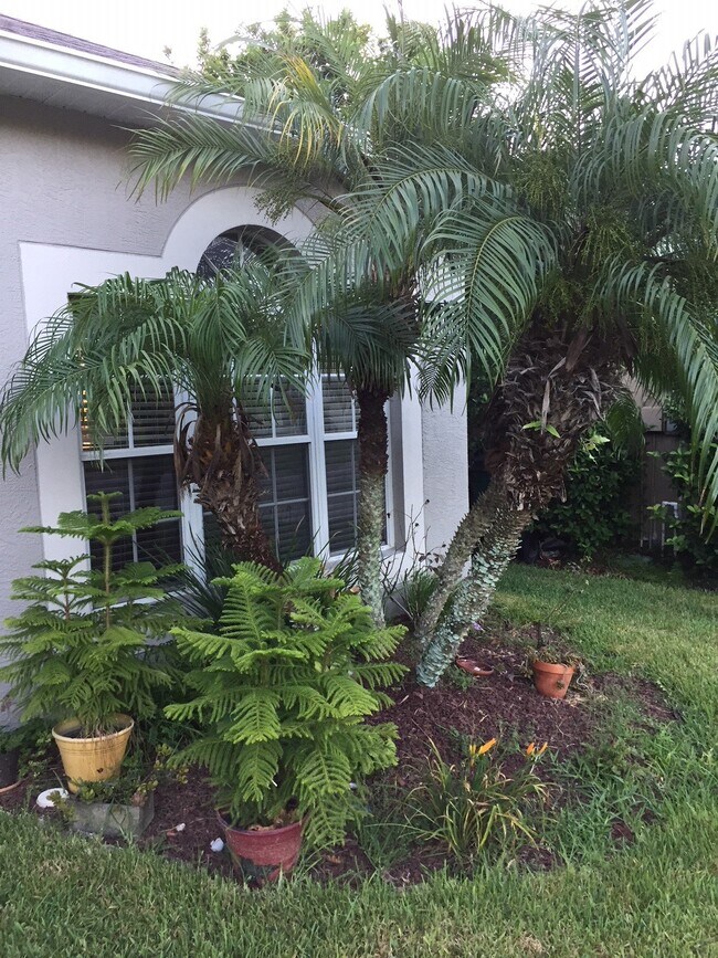 Foto del edificio - 4830 Windingbrook Trail