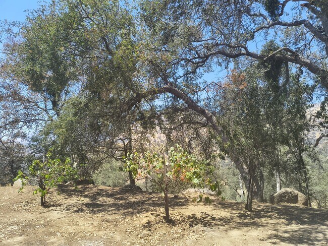 Foto del edificio - 35468 E Kings Canyon Rd