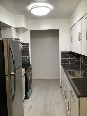 Brand new stainless steel appliances - 1065 E 57th St
