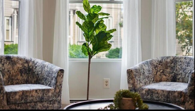 Foto del edificio - 4 bedroom in Allston MA 02134