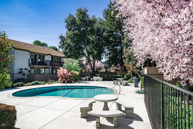 Foto del interior - Cedar Springs Apartments